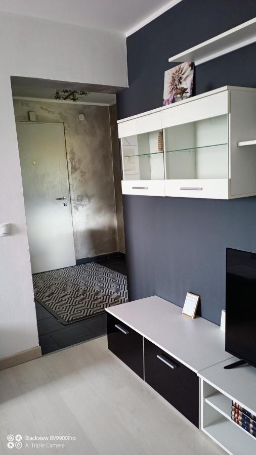 Apartman Bella Vista Golubăţ Exterior foto